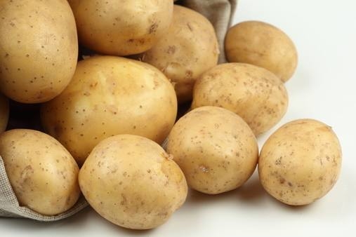 Вирощування картоплі — найбільш урожайні сорти і технології висаджування